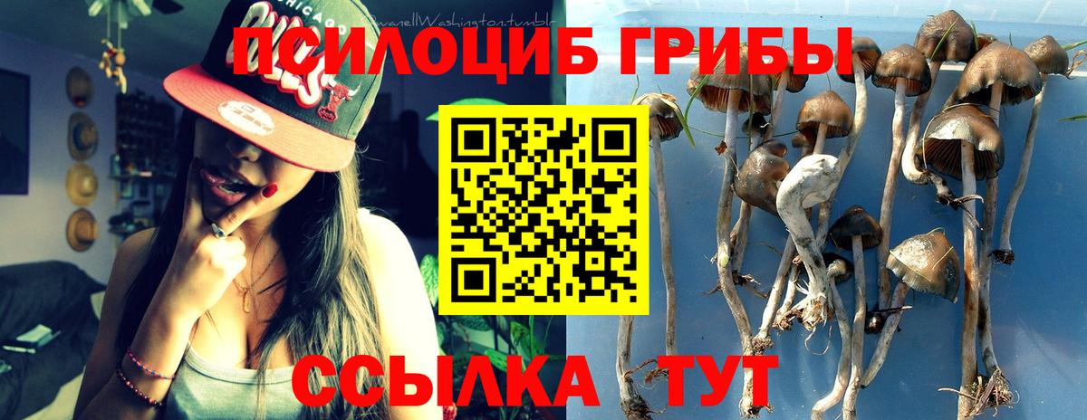 Псилоцибиновые грибы мицелий  Вход с VPN  Галлюциногенные грибы GOLDEN TEACHER  Иваново 